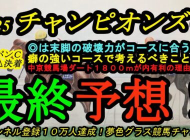 【最終予想】2025チャンピオンズカップ！※コメント欄に補足あり！本命馬は中京に合った競馬が出来る！中京競馬場ダート1,800mの内が有利になる理由とは？