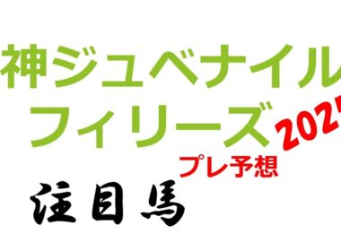 【阪神ジュベナイルフィリーズ】2025年 注目馬（プレ予想）