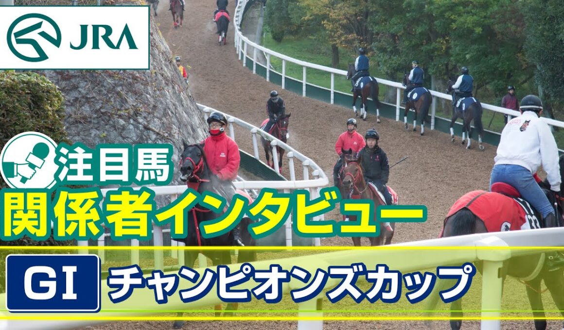 【注目馬 関係者インタビュー】2025年 チャンピオンズカップ｜JRA公式