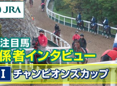 【注目馬 関係者インタビュー】2025年 チャンピオンズカップ｜JRA公式