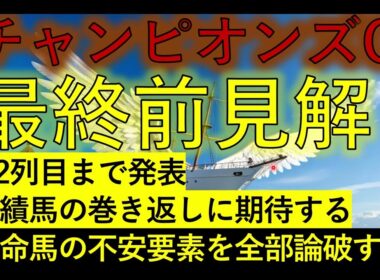 チャンピオンズカップ2025　最終見解
