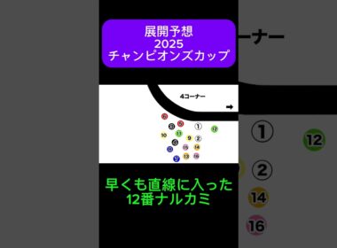 【チャンピオンズカップ 2025】ハイペースを制するのは？！【展開予想】#shorts