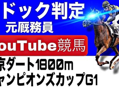 チャンピオンズカップ2025完全予想！今年の注目馬とパドックを徹底解説！