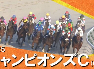 2025年チャンピオンズカップ(ＧⅠ) 【カンテレ公式】