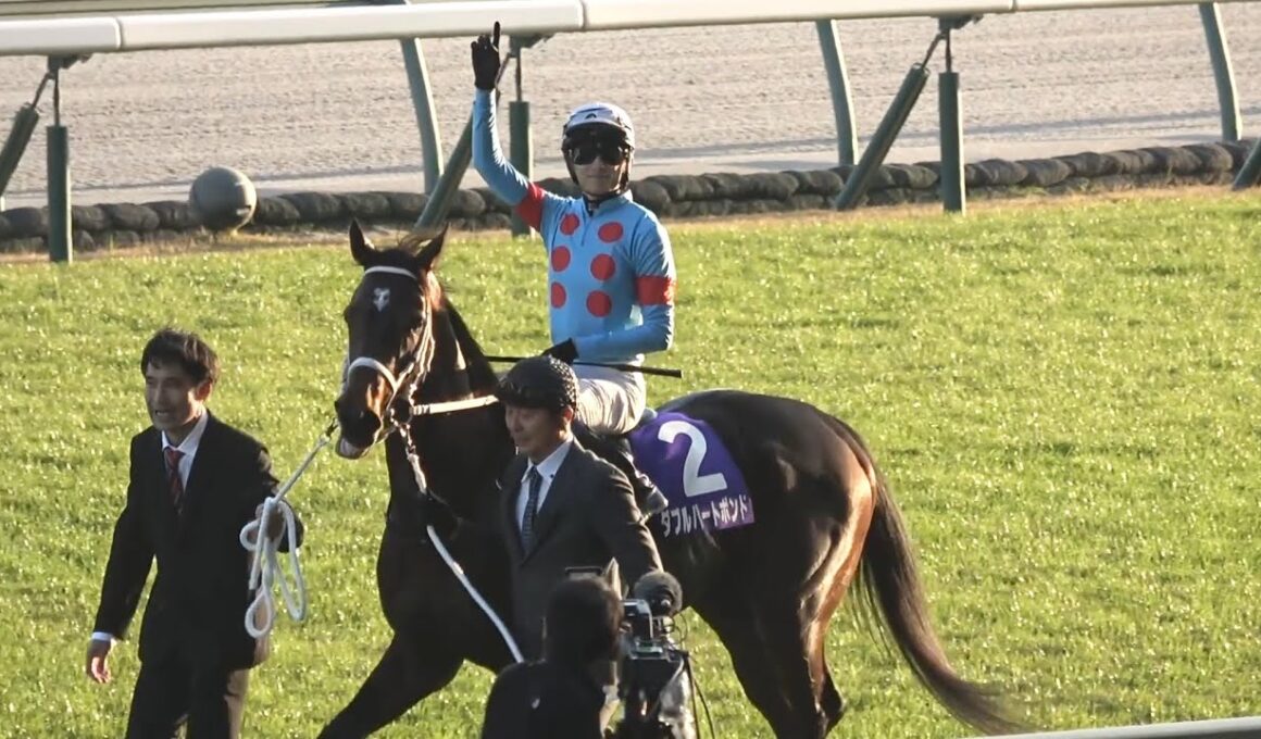 【現地】2025 G1 チャンピオンズカップ ダブルハートボンド 坂井 瑠星騎手は3連覇！【生ファンファーレ 中京競馬場】