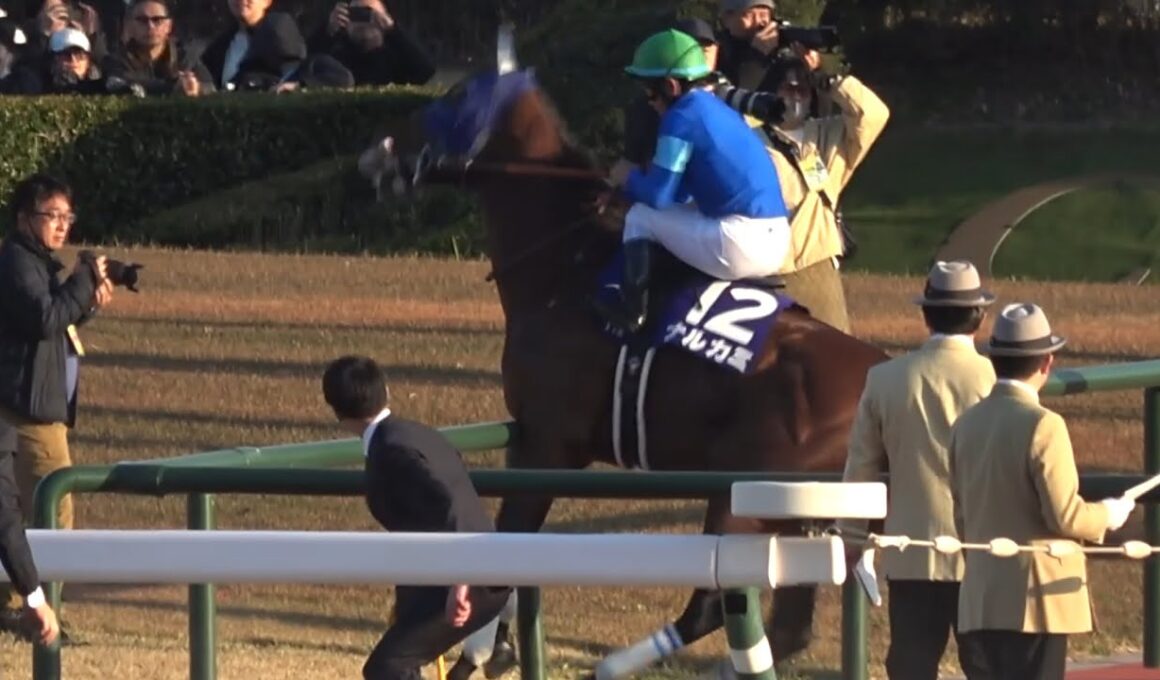 【現地 本馬場入場】2025 G1 チャンピオンズカップ ザ・チャンピオン ナルカミが乱心しメインスタンド前の内ラチにぶつけてしまう【中京競馬場】