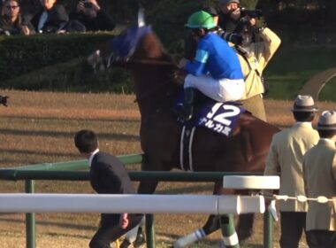 【現地 本馬場入場】2025 G1 チャンピオンズカップ ザ・チャンピオン ナルカミが乱心しメインスタンド前の内ラチにぶつけてしまう【中京競馬場】