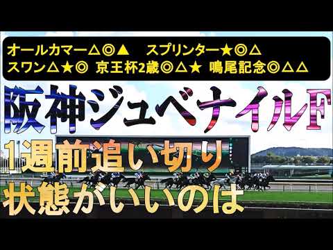 阪神ジュベナイルフィリーズ2025　1週前追い切り　抽選対象が多いが