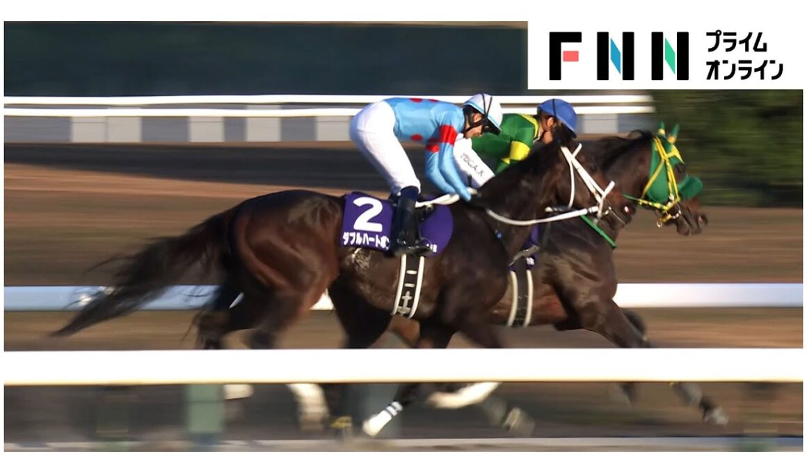 【チャンピオンズカップ・GⅠ】ダブルハートボンド＆坂井瑠星、デビュー以来のコンビが新たな歴史を刻むV！群雄割拠のダート界の新たな“女王”となる