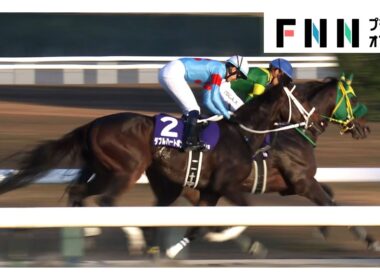 【チャンピオンズカップ・GⅠ】ダブルハートボンド＆坂井瑠星、デビュー以来のコンビが新たな歴史を刻むV！群雄割拠のダート界の新たな“女王”となる