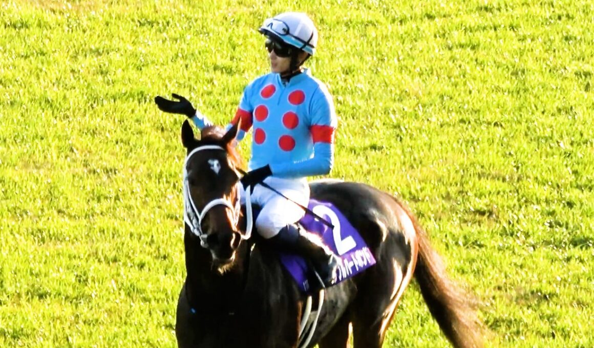 【チャンピオンズカップ2025】ダブルハートボンドが可愛い 写真判定中だけど勝ったでしょうルンルンでウイニングラン 現地映像 坂井瑠星騎手も「まだ？」とポーズ