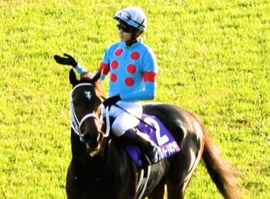 【チャンピオンズカップ2025】ダブルハートボンドが可愛い 写真判定中だけど勝ったでしょうルンルンでウイニングラン 現地映像 坂井瑠星騎手も「まだ？」とポーズ