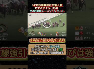 【セナスタイル】 秋華賞想定10番人気！全3走ダイジェスト　#競馬  #秋華賞  #セナスタイル  #shorts