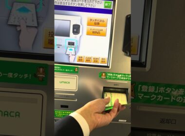 チャンピオンズカップの馬券を買いました（勝負馬券はメンバー限定）