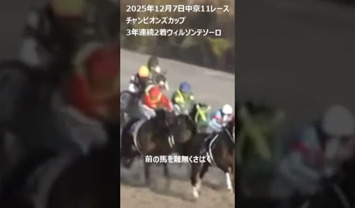 【チャンピオンズカップ】中京を知る男、川田騎手2着だったが見事な騎乗 #チャンピオンズカップ #川田将雅騎手