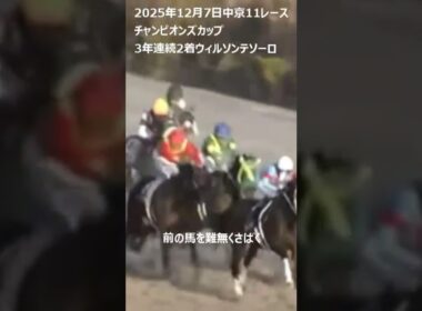 【チャンピオンズカップ】中京を知る男、川田騎手2着だったが見事な騎乗 #チャンピオンズカップ #川田将雅騎手