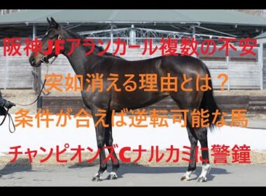 阪神ジュベナイルフィリーズ アランカールが突如消える理由と複数の不安 条件が合えば逆転可能な馬 先週はナルカミに警鐘