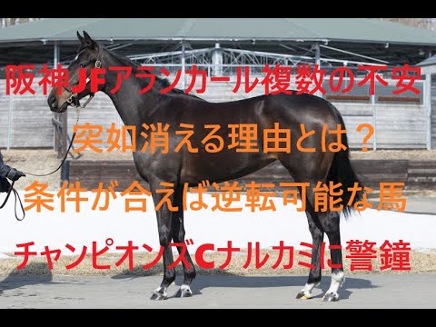 阪神ジュベナイルフィリーズ アランカールが突如消える理由と複数の不安 条件が合えば逆転可能な馬 先週はナルカミに警鐘