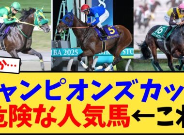 【チャンピオンズC】チャンピオンズカップ危険な人気馬←これ【競馬反応集】