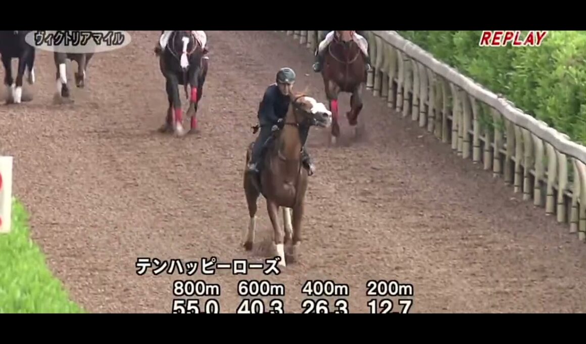 ヴィクトリアマイル　テンハッピーローズ　本番14番人気単勝2万で勝つ調教