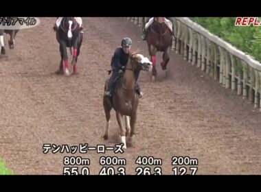 ヴィクトリアマイル　テンハッピーローズ　本番14番人気単勝2万で勝つ調教