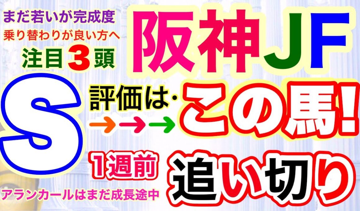 穴党専科❣️【阪神ジュベナイルフィリーズ2025】しーいちの1週前追い切り評価、アランカールが1番人気予想？マーゴットラヴミーも逃げですが！今回の注目馬は３頭！