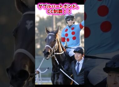 ダブルハートボンド、チャンピオンズカップ制覇！！【競馬反応集】　#ダブルハートボンド #坂井瑠星 #チャンピオンズカップ