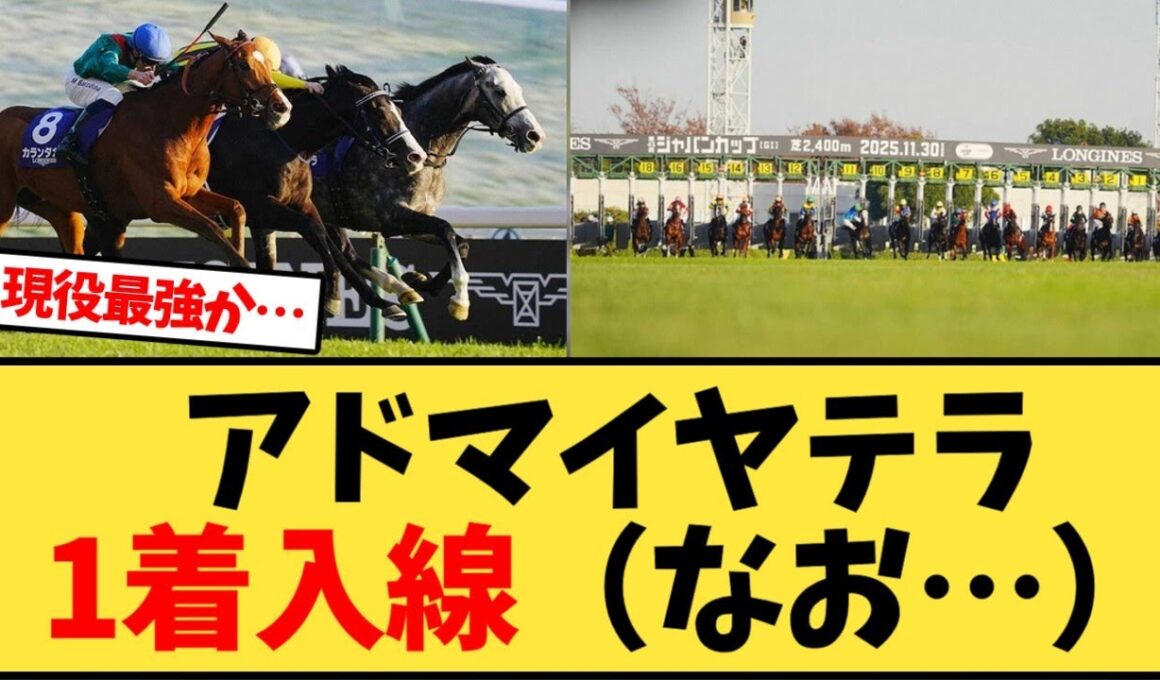 【ジャパンカップ2025】アドマイヤテラ1着入線（なお…）【競馬反応集】
