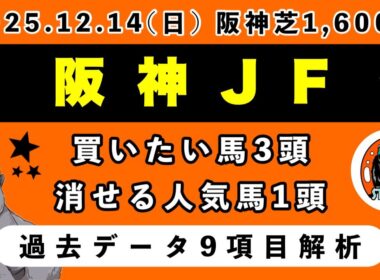 【阪神ジュベナイルフィリーズ2025】過去データ9項目解析!!買いたい馬3頭と消せる人気馬1頭について(競馬予想)