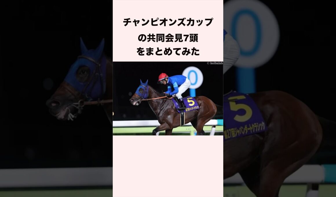 チャンピオンズカップ出走予定の7頭の共同会見をまとめてみた #競馬 #競馬予想 #ウマ娘 #チャンピオンズカップ #shorts