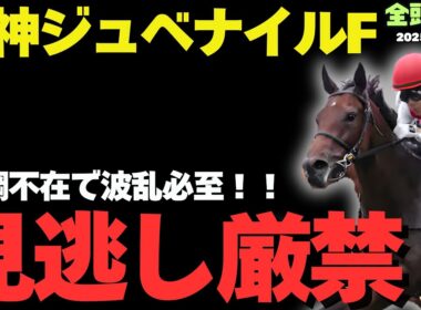 【阪神ジュベナイルF2025】主役不在のメンバーで見つけた重賞級の1頭！【競馬予想】
