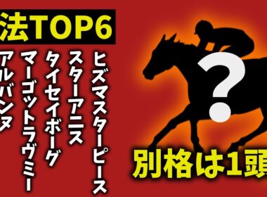 【阪神ジュベナイルフィリーズ2025】走法TOP6｜1頭だけ“別格”　理由がヤバすぎた【競馬予想】