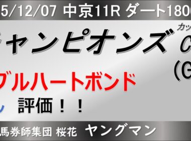 【チャンピオンズカップ2025】ヤングマンのレース予想！前走非常に強い競馬をしたナルカミに牝馬ダブルハートボンドが挑む！！古馬勢は前走凡走が多いが・・・