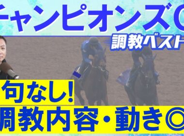 「バテない！へこたれない！」伏兵もランクイン！ナルカミ、ダブルハートボンド、ルクソールカフェ・・・競馬エイト・高橋賢司トラックマンの調教解説＜チャンピオンズカップ(ＧⅠ)＞