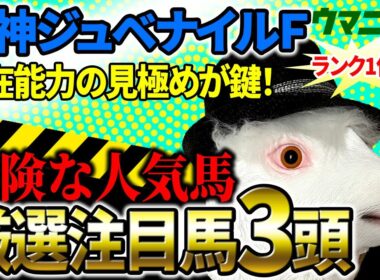 【阪神ジュベナイルフィリーズ2025】驚異的！2025年JRA全レース予想で収支プラス110万超！「霧プロ」の厳選注目馬＆危険な人気馬を特別公開！