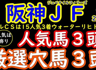 阪神ジュベナイルフィリーズ2025は雨予報で波乱の可能性もあり！人気は飾り！桜花が選ぶ厳選穴馬３頭＋人気馬３頭アランカールとマーゴットラヴミーとアルバンヌの不安材料の徹底解説！