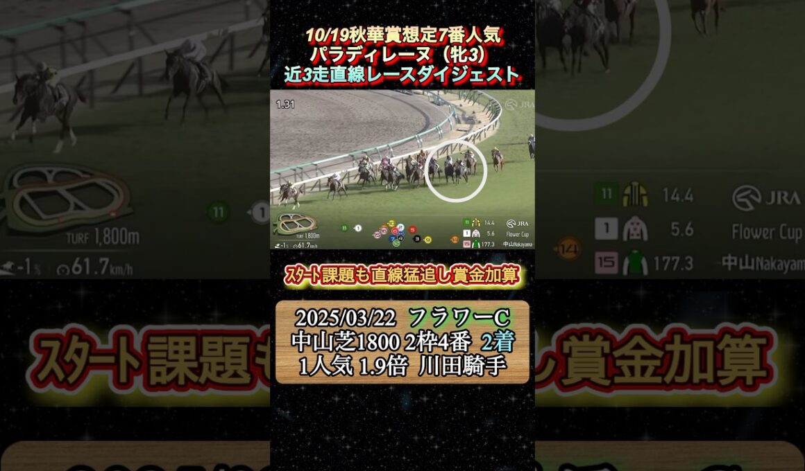 【パラディレーヌ】 秋華賞想定7番人気！近3走ダイジェスト　#競馬  #秋華賞  #パラディレーヌ  #shorts