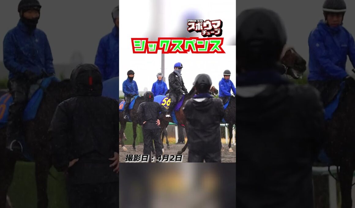 【大阪杯・出走予定】シックスペンス 美浦での様子 #shorts