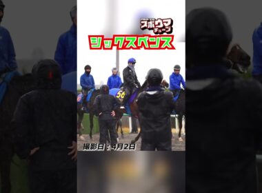 【大阪杯・出走予定】シックスペンス 美浦での様子 #shorts