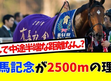 【競馬】有馬記念が2500mの理由が衝撃的すぎた...