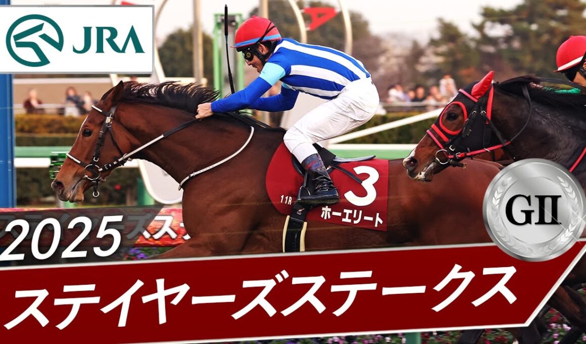 2025年 ステイヤーズステークス（GⅡ） | ホーエリート | JRA公式