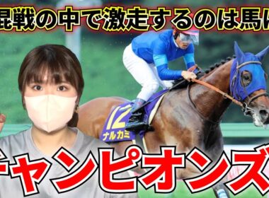 【チャンピオンズC】あの穴馬しか見えない！！展開ハマりそうなあの馬から大勝負します！！！
