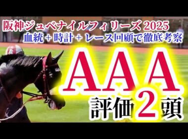 【阪神JF 2025】激戦！混戦！！接戦！！！アランカール、マーゴットラヴミー、アルバンヌ、スターアニスが激突！【出走馬徹底考察】