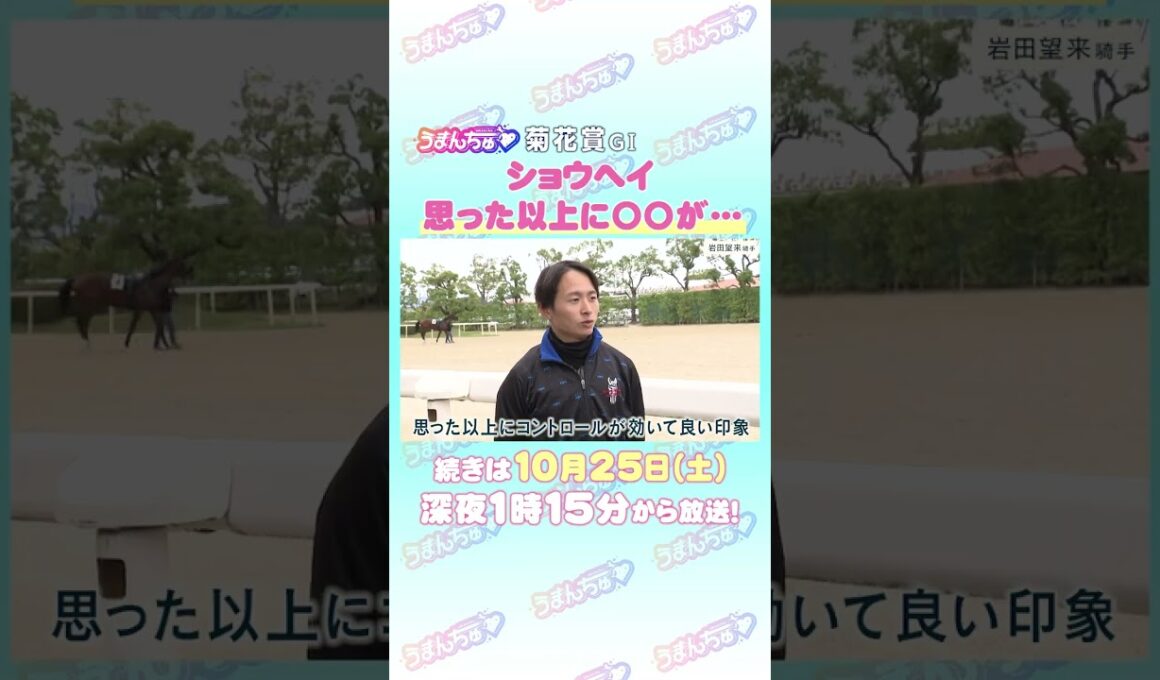 菊花賞GⅠ　トレセン直撃取材！　#競馬 #菊花賞 #ショウヘイ #岩田望来