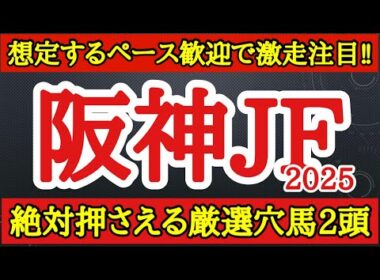 【阪神ジュベナイルフィリーズ2025】厳選穴馬！良いパフォを見せており想定する展開で能力全開できそうな2頭を公開！