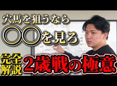 【競馬解説】2歳の極意【阪神ジュベナイルF】