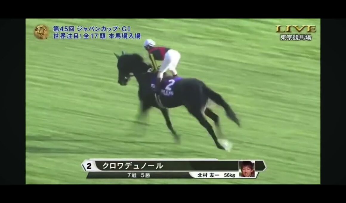 2025年第45回ジャパンカップG1 本馬場入場