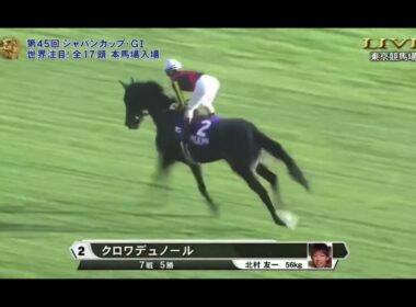 2025年第45回ジャパンカップG1 本馬場入場