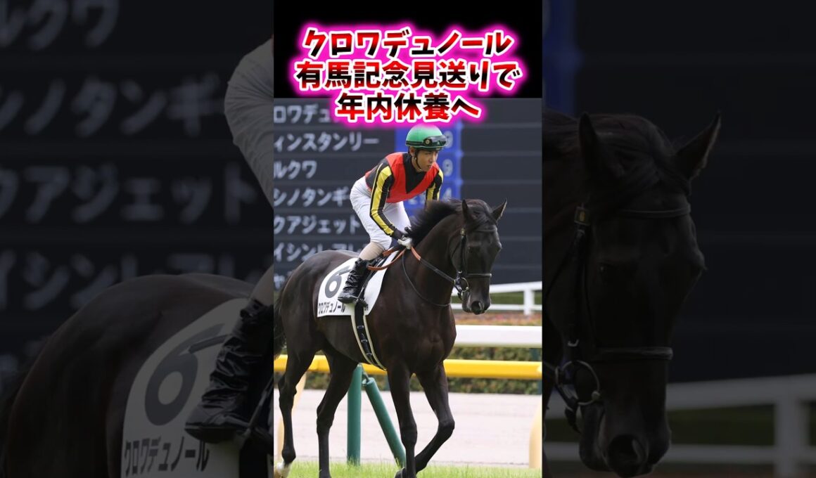 クロワデュノール有馬記念見送りで年内休養へ【競馬反応集】#クロワデュノール　#有馬記念　#北村友一