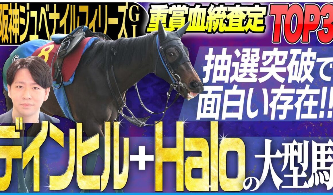 【阪神JF2025】抽選さえ突破できればこの馬！早熟性とスピードに優れた血を持つ大型馬に注目！！(坂上明大の重賞血統査定)《東スポ競馬》